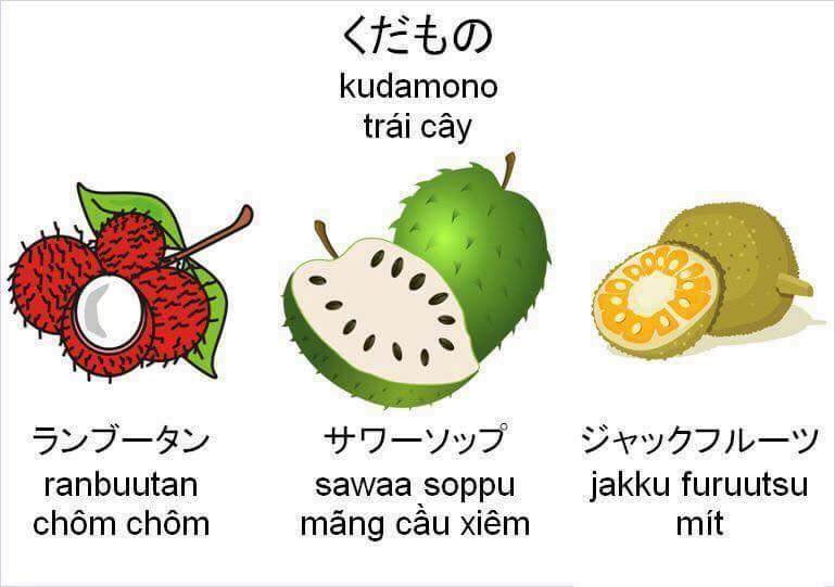 Quả mít tiếng Nhật là gì? Gallery 2