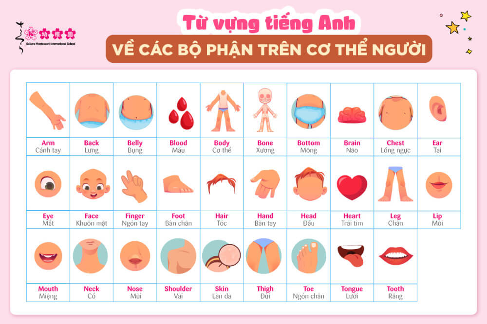 Từ Vựng Thông Dụng Trong Tiếng Việt: Học Ngay Để Nói Chuyện Trôi Chảy! Gallery 1