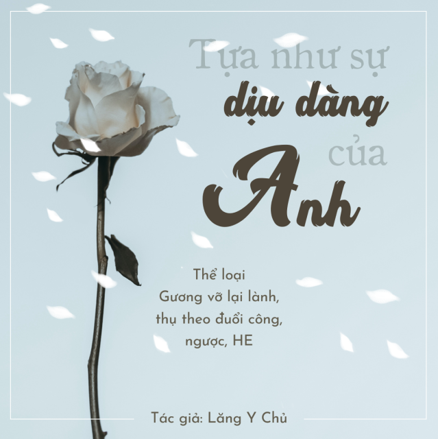 Sự dịu dàng của anh Gallery 2