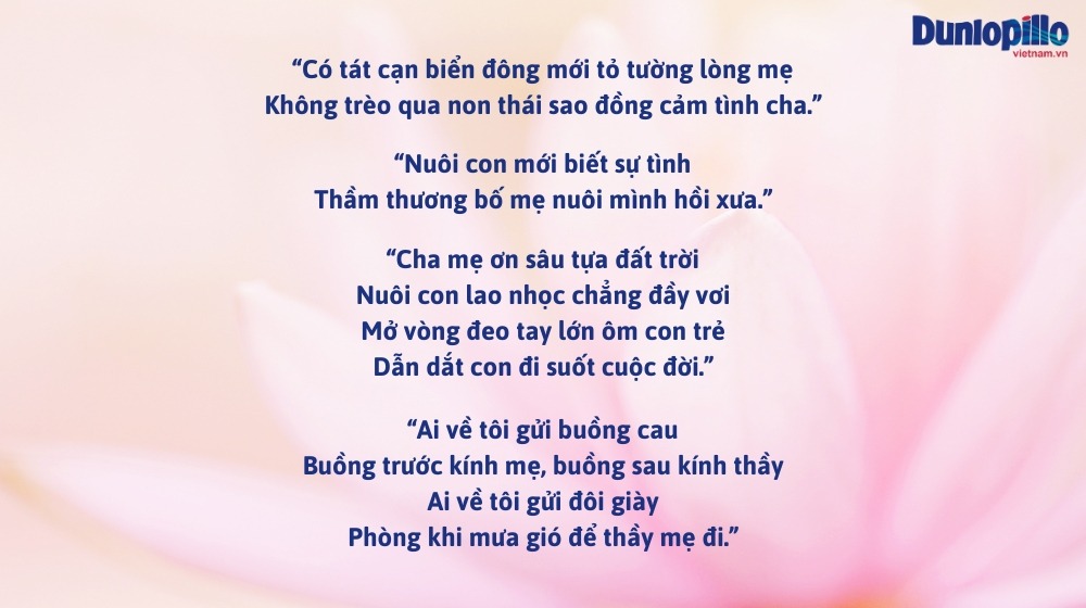 Tục Ngữ Hay: Kho Tàng Tri Thức Dân Gian
