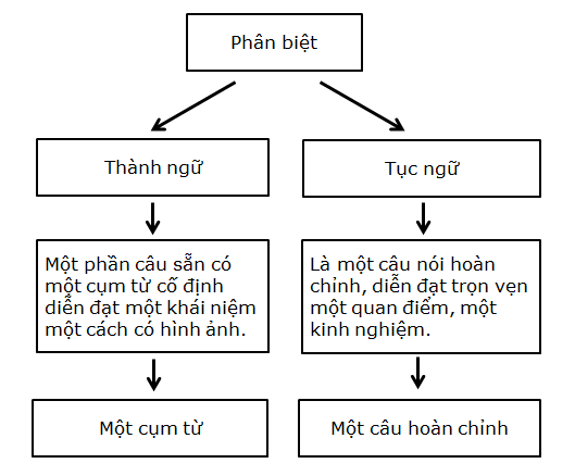 Thành ngữ là gì? Tục ngữ là gì? Gallery 2
