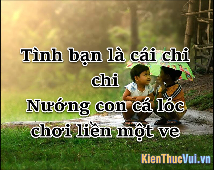 Tục Ngữ Hay Về Tình Bạn