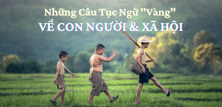Tục Ngữ Về Con Người và Xã Hội:  Suy Ngẫm Về Bản Chất Con Người trong Mối Quan Hệ Xã Hội Gallery 2