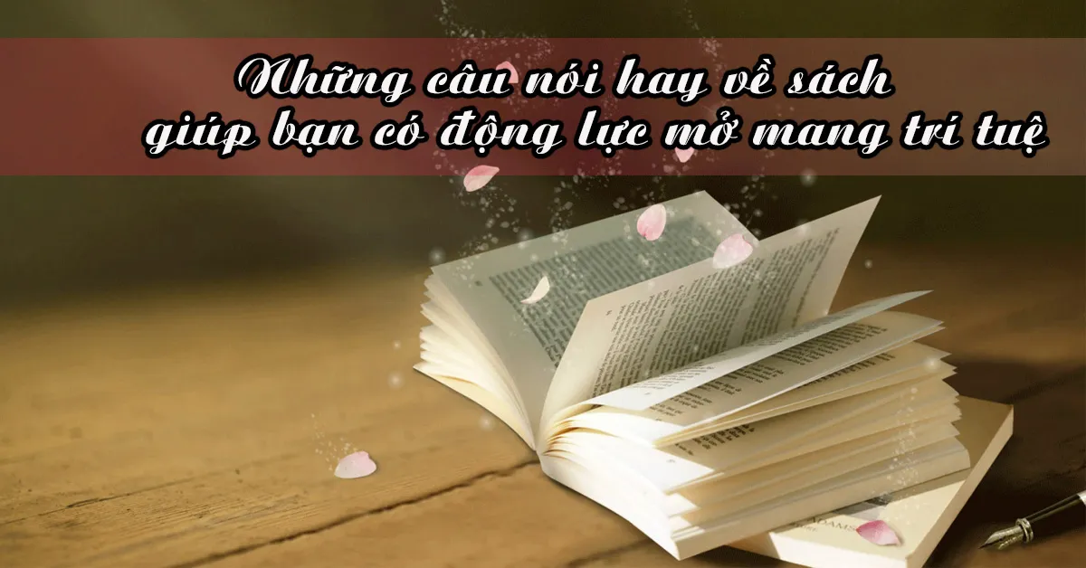 Tục Ngữ Hay Về Sách Và Ý Nghĩa Của Chúng Gallery 2