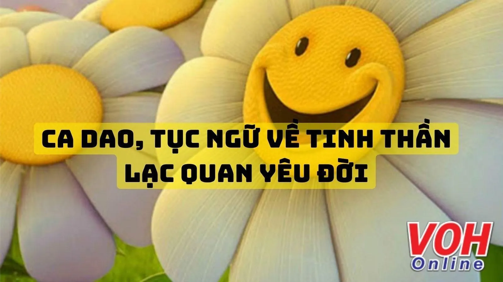Tục Ngữ Về Tinh Thần Lạc Quan:  Những Câu Châm Ngôn Truyền Cảm Hứng