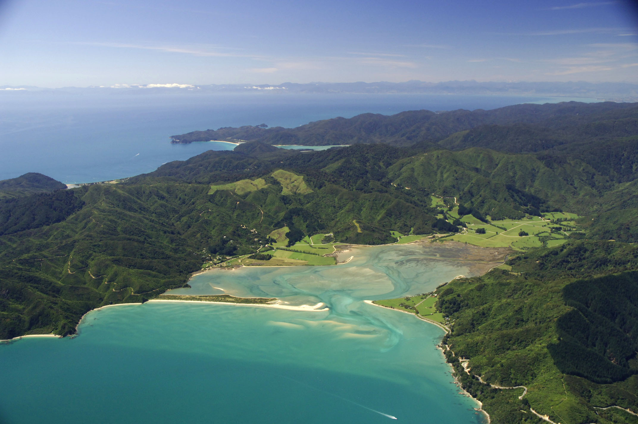 Tụi Bay Là Gì?