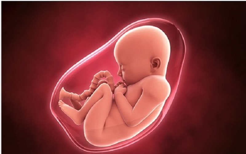 Túi ối nhỏ trong 3 tháng đầu có nguy hiểm không?