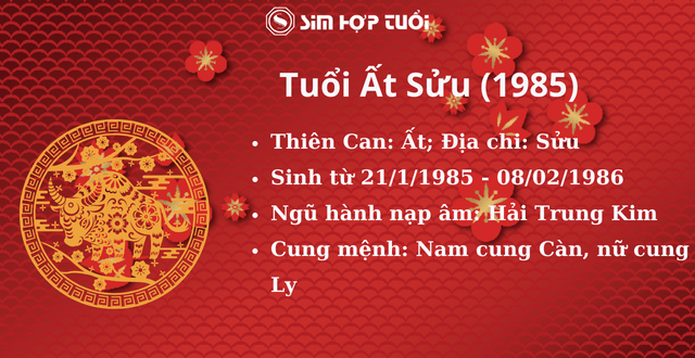 Tuổi Ất Sửu Hợp Số Mấy? Gallery 2