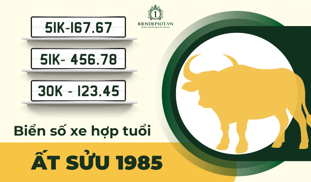 Tuổi Ất Sửu Hợp Với Số Nào?