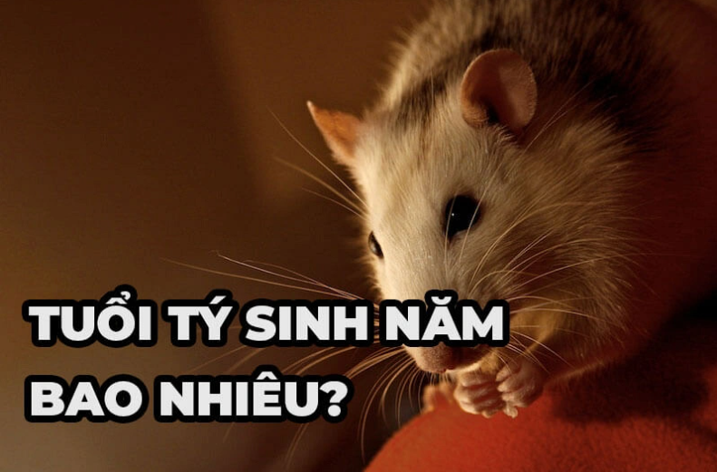 Tuổi Con Chuột Năm Nay Bao Nhiêu Tuổi