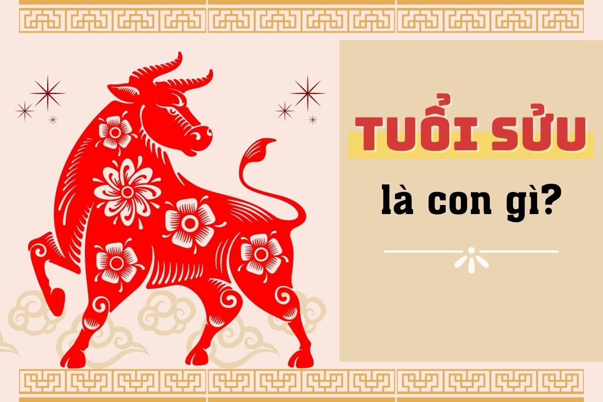 Tuổi Con Trâu Sinh Năm Bao Nhiêu?