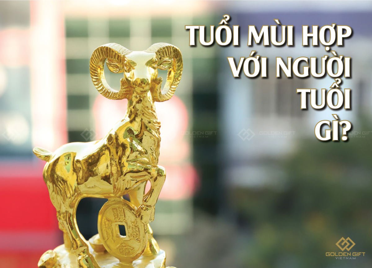 Tuổi Kỷ Mùi Hợp Số Nào? Gallery 2