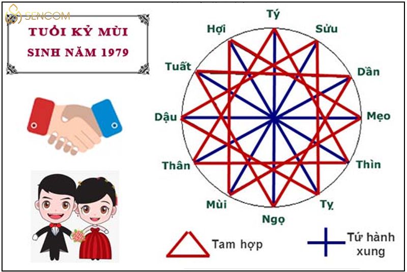 Tuổi Kỷ Mùi Hợp Số Nào? Gallery 1