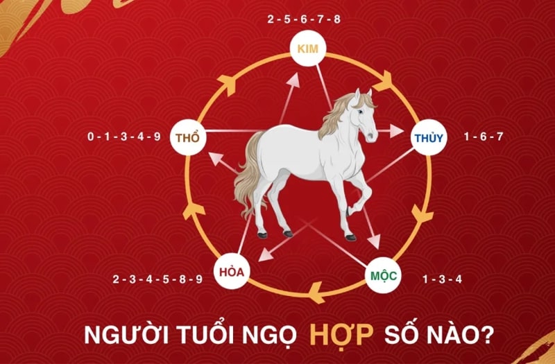 Tuổi Ngựa Là Cung Gì?