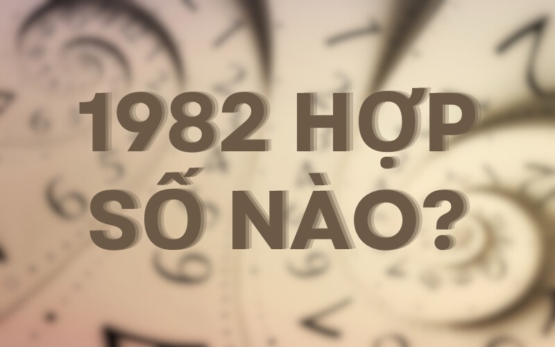 Tuổi Nhâm Tuất Hợp Số Nào?