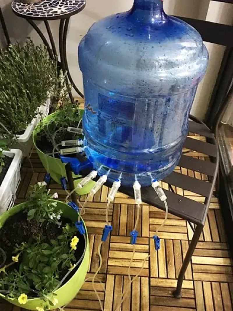 Tưới nhỏ giọt tự chế: Hướng dẫn chi tiết, tiết kiệm nước và hiệu quả