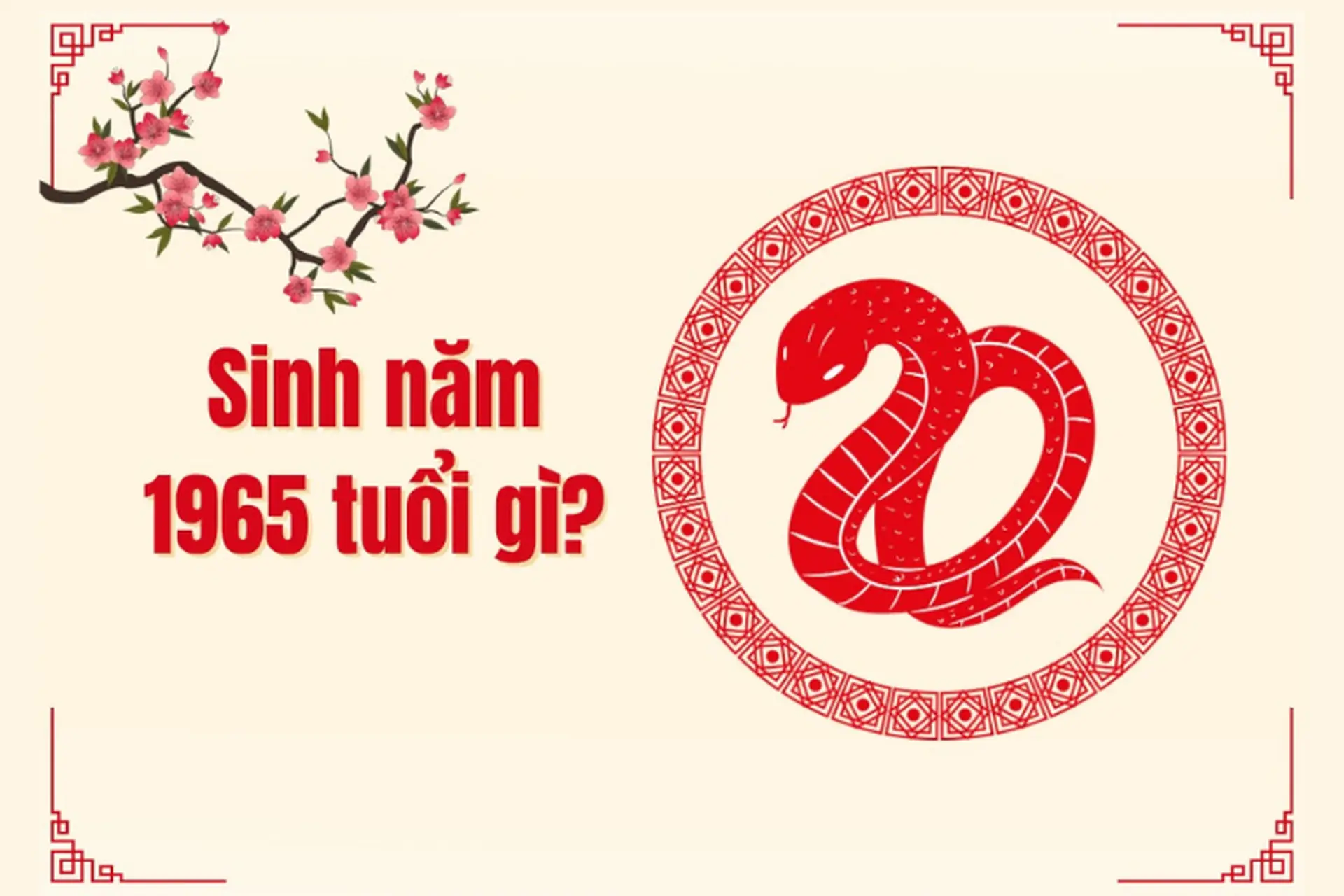 Sinh năm 1965 là tuổi con gì? Gallery 1