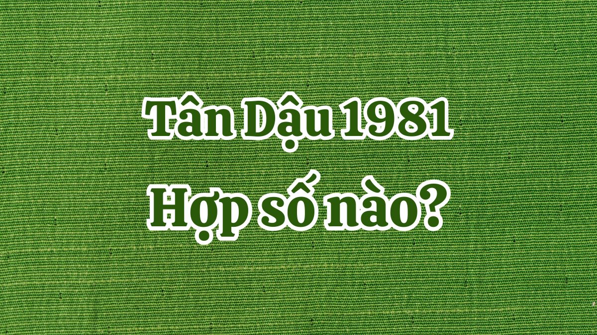 Tuổi Tân Dậu 1981 hợp với số nào?