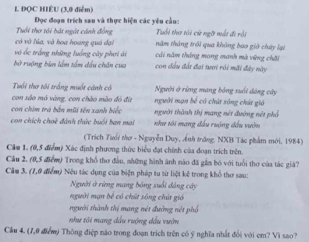 Tuổi thơ tôi bát ngát cánh đồng
