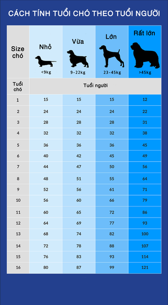 Tuổi Thọ Trung Bình Của Chó Ta