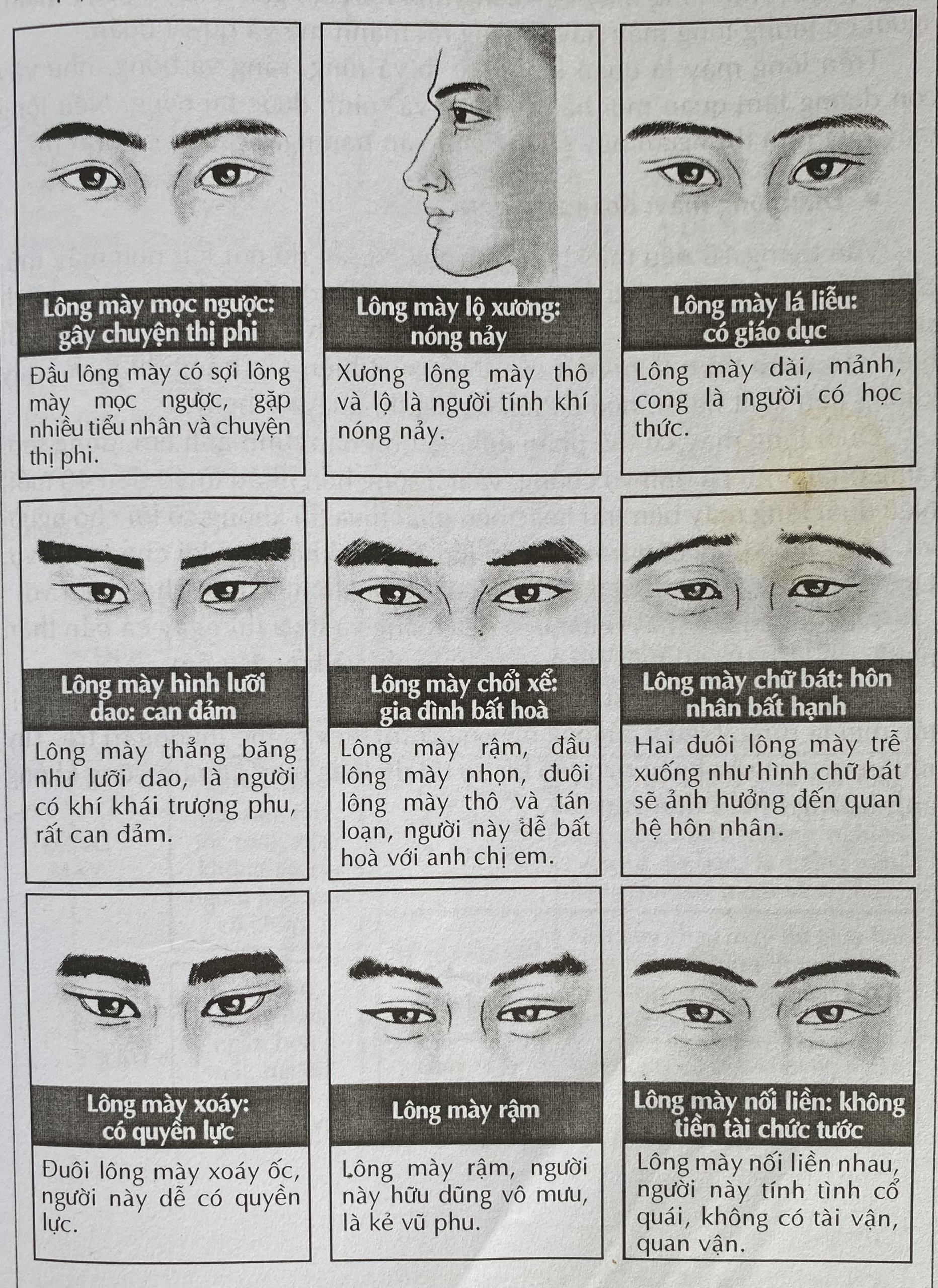Tướng Lông Mày Nam Vểnh Lên: Giải Mã Ý Nghĩa & Tính Cách