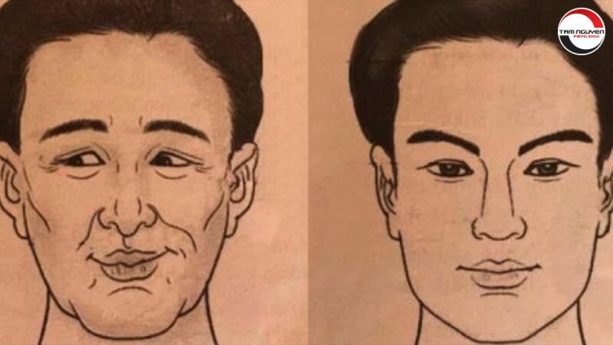 Tướng Mặt Đàn Ông Đểu: Nhận Biết Qua Các Đặc Điểm Khuôn Mặt