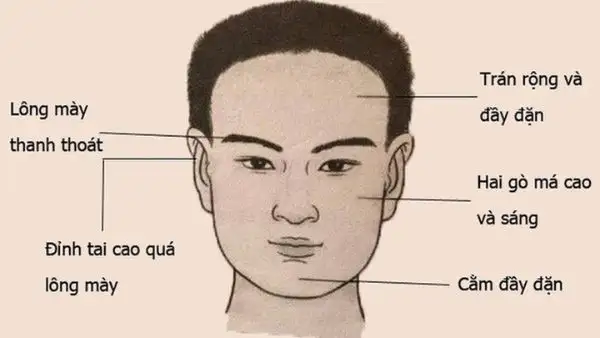 Tướng Mặt Đàn Ông Hiền Lành