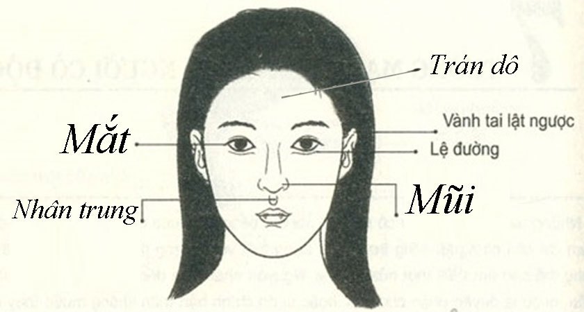 Tướng phụ nữ dễ dãi Gallery 2