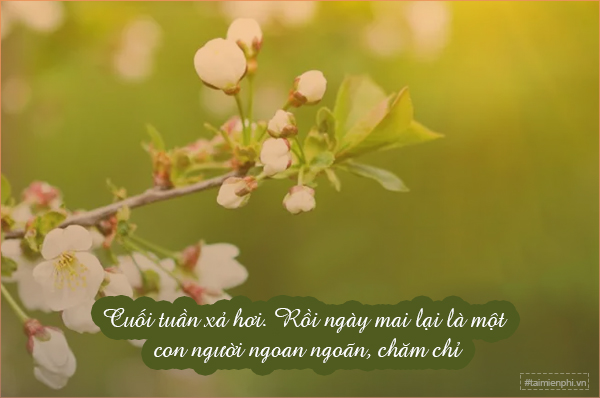 Tus Hay Cuối Tuần: Những Câu Nói Hay Và Hình Ảnh Đẹp Để Chia Sẻ Gallery 2