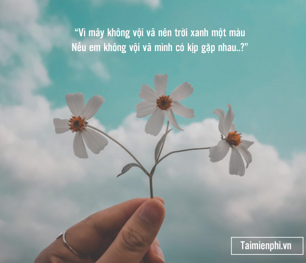 Tus ngắn hay: Gợi ý những caption ngắn, chất lượng thu hút người xem