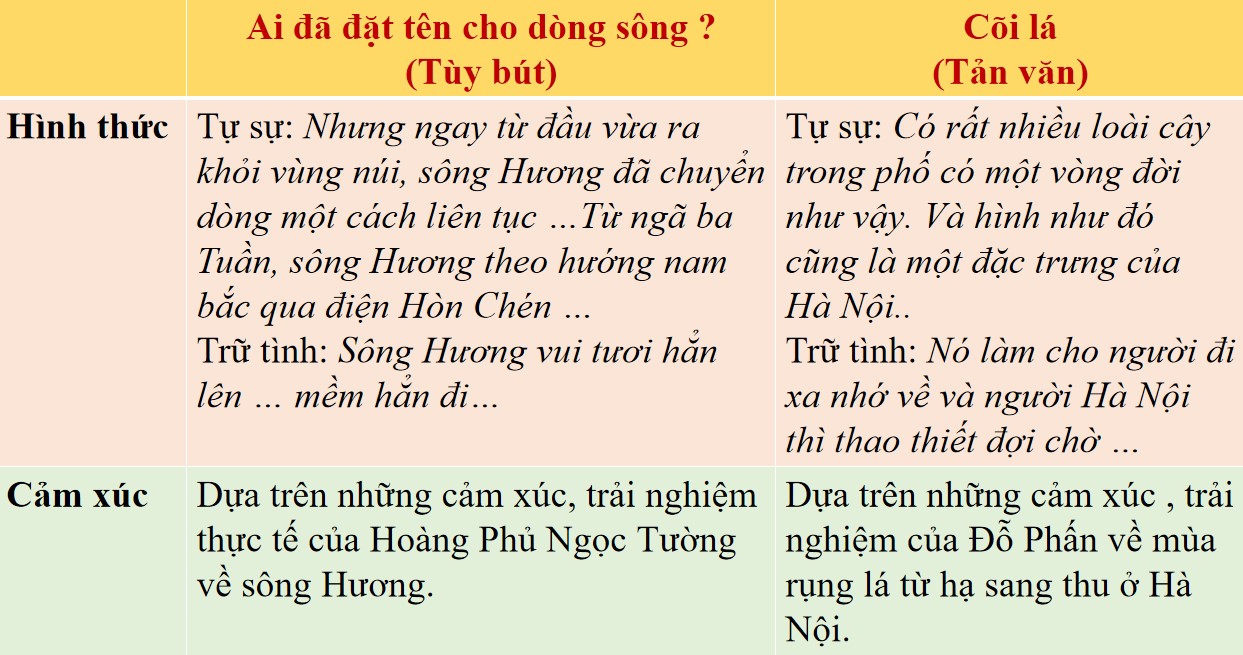 Tùy bút là gì?