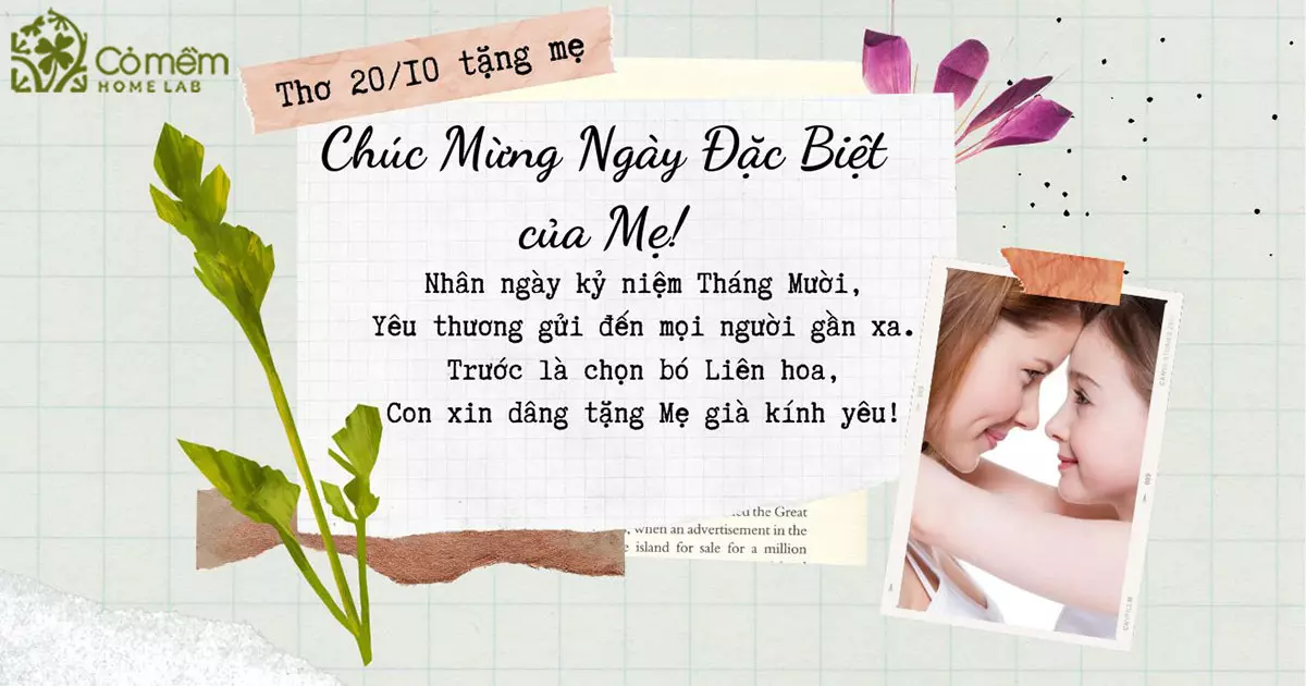Bài Thơ 20/10 Tặng Mẹ Hay và Ý Nghĩa Gallery 1