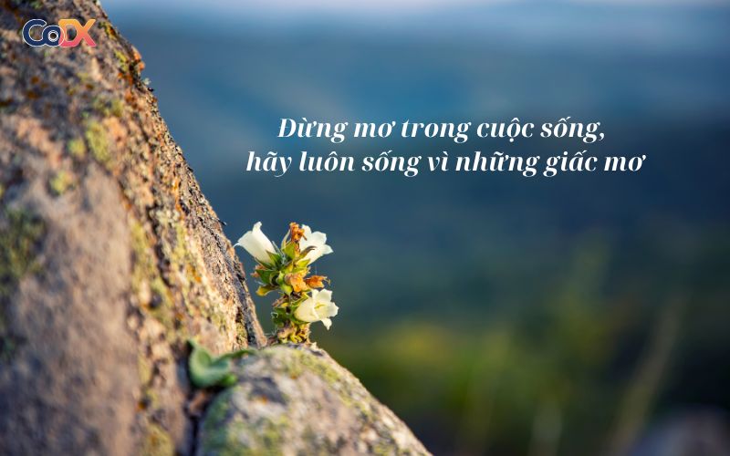 Những Câu Nói Hay Về Sự Thay Đổi Tích Cực Gallery 2