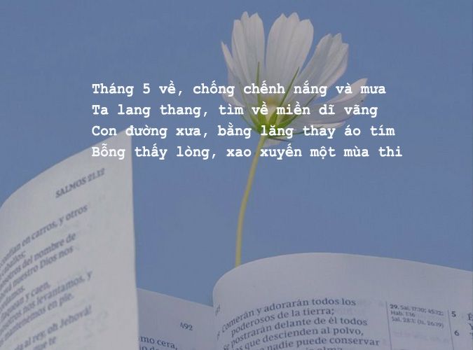 Thơ Tình Tháng 5:  Tuyển Tập Những Vần Thơ Ngọt Ngào Gallery 2