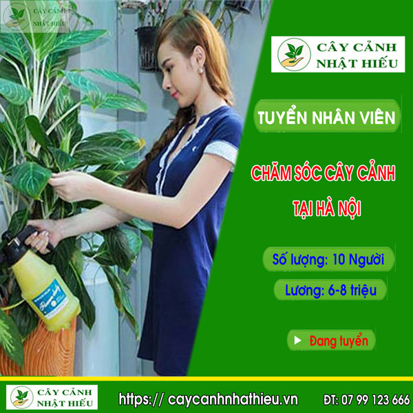 Tuyển Dụng Nhân Viên Cắt Tỉa Cây Cảnh