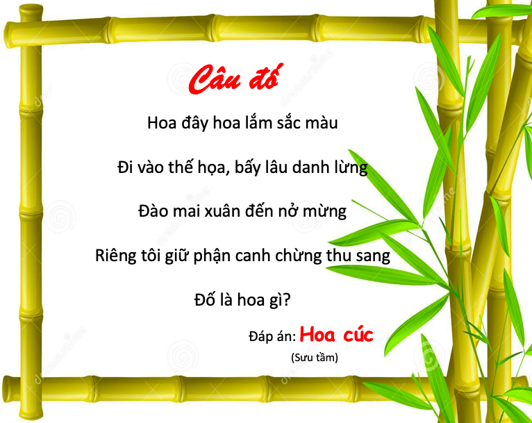 Câu Đố Về Loài Hoa Có Đáp Án Gallery 1