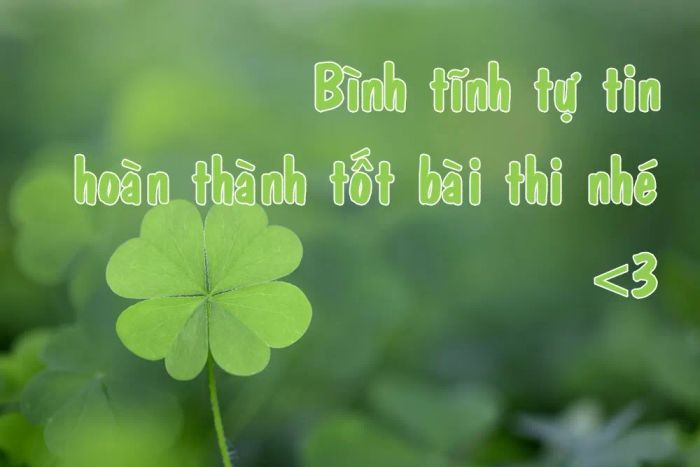 Hình Ảnh Thi Tốt: Gửi Lời Chúc Mừng Tốt Đẹp Nhất! Gallery 1