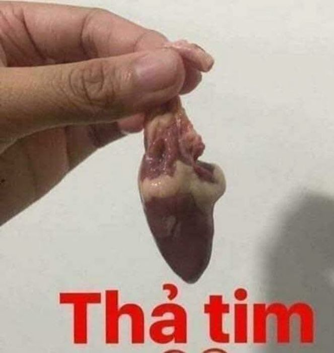 Hình Thả Tim Hài Hước: Tuyển Tập Ảnh Biểu Tượng Thả Tim Vui Nhộn Gallery 2