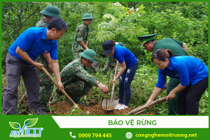 Khẩu hiệu hay về bảo vệ rừng Gallery 2