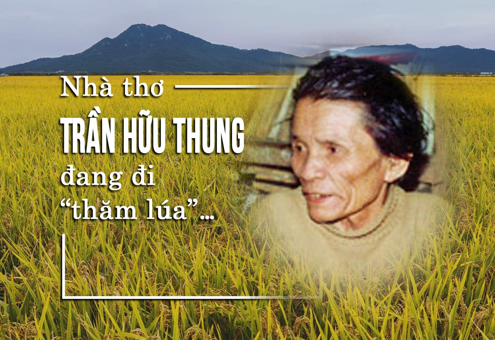 Bài Thơ Thăm Lúa Hay Và Ý Nghĩa Gallery 1