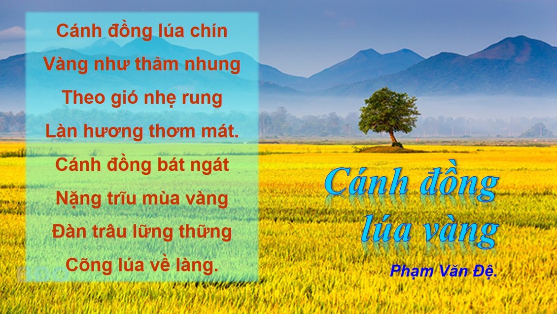Bài Thơ Cánh Đồng Lúa Vàng Hay Nhất Gallery 1