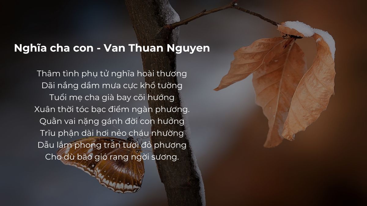Những Câu Thơ Về Cha Hay Nhất Gallery 1