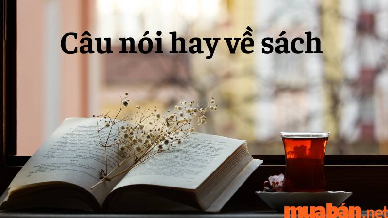 Khẩu hiệu đọc sách hay nhất: Mở ra thế giới tri thức Gallery 2