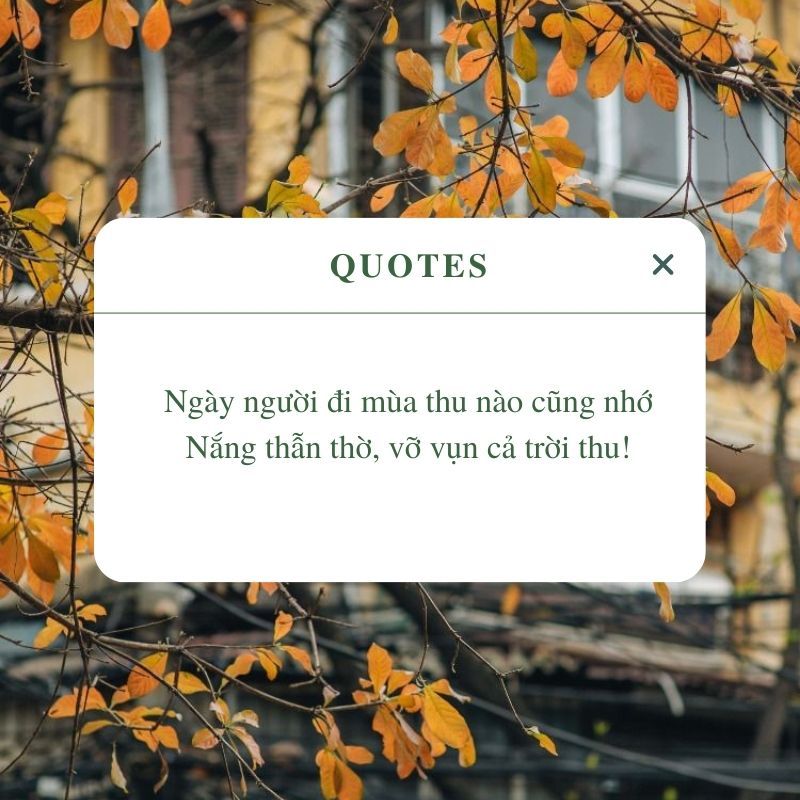 Những Status Mùa Thu Thả Thính "Gây Nghiện" - Thu Vàng, Tình Yêu Ngọt Ngào Gallery 1