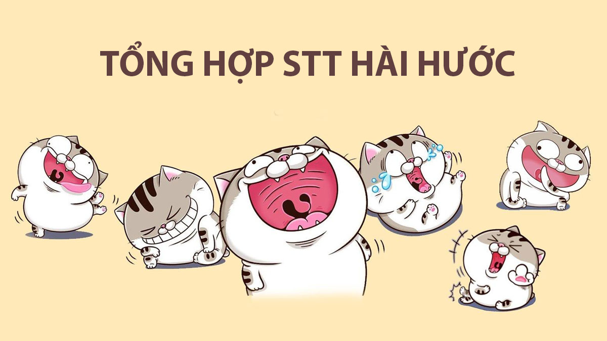 Những STT Hài Hước Khiến Bạn Cười Ngất Gallery 1