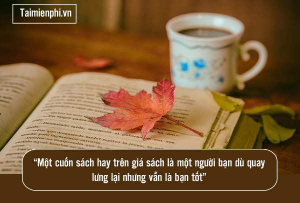 STT về đọc sách: Những câu nói hay và ý nghĩa nhất Gallery 2