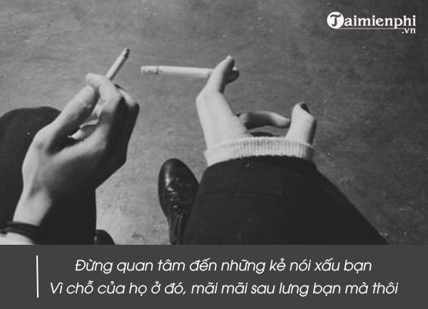 STT Xéo Sắc: Tuyển Tập Những Câu Nói Hay, Châm Biếm, Hài Hước Gallery 2