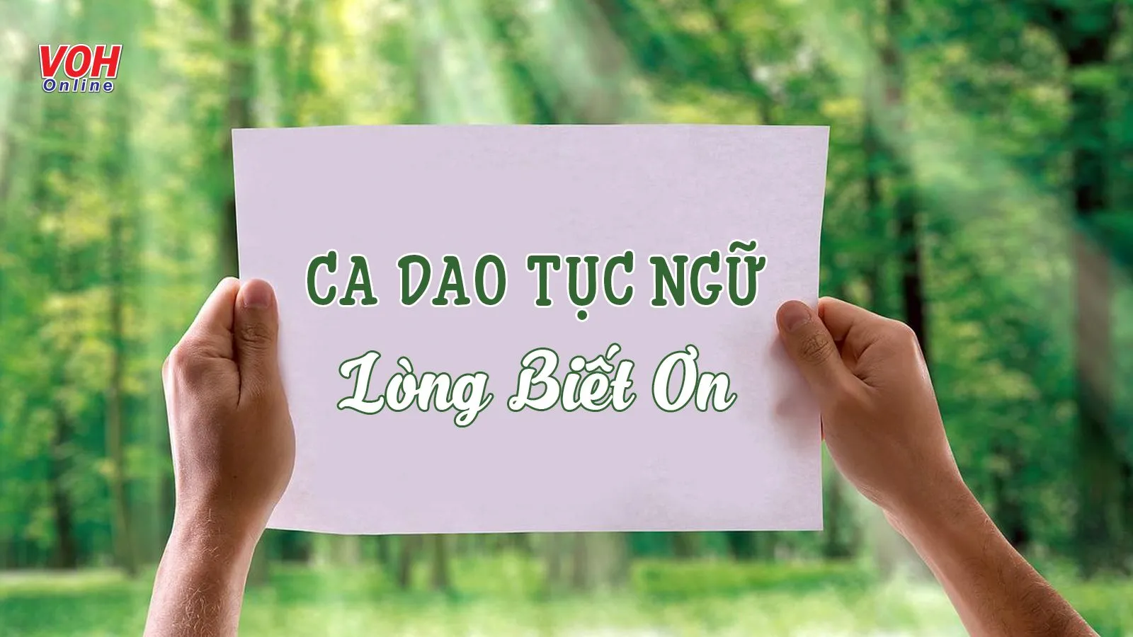 Thành Ngữ Về Lòng Biết Ơn Gallery 2