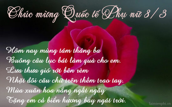 Thơ Ngày 8/3: Tuyển tập những bài thơ hay nhất dành tặng phái đẹp Gallery 1