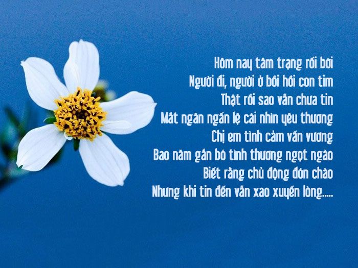 Thơ Chia Tay Bạn Bè Hay và Đầy Cảm Xúc Gallery 2